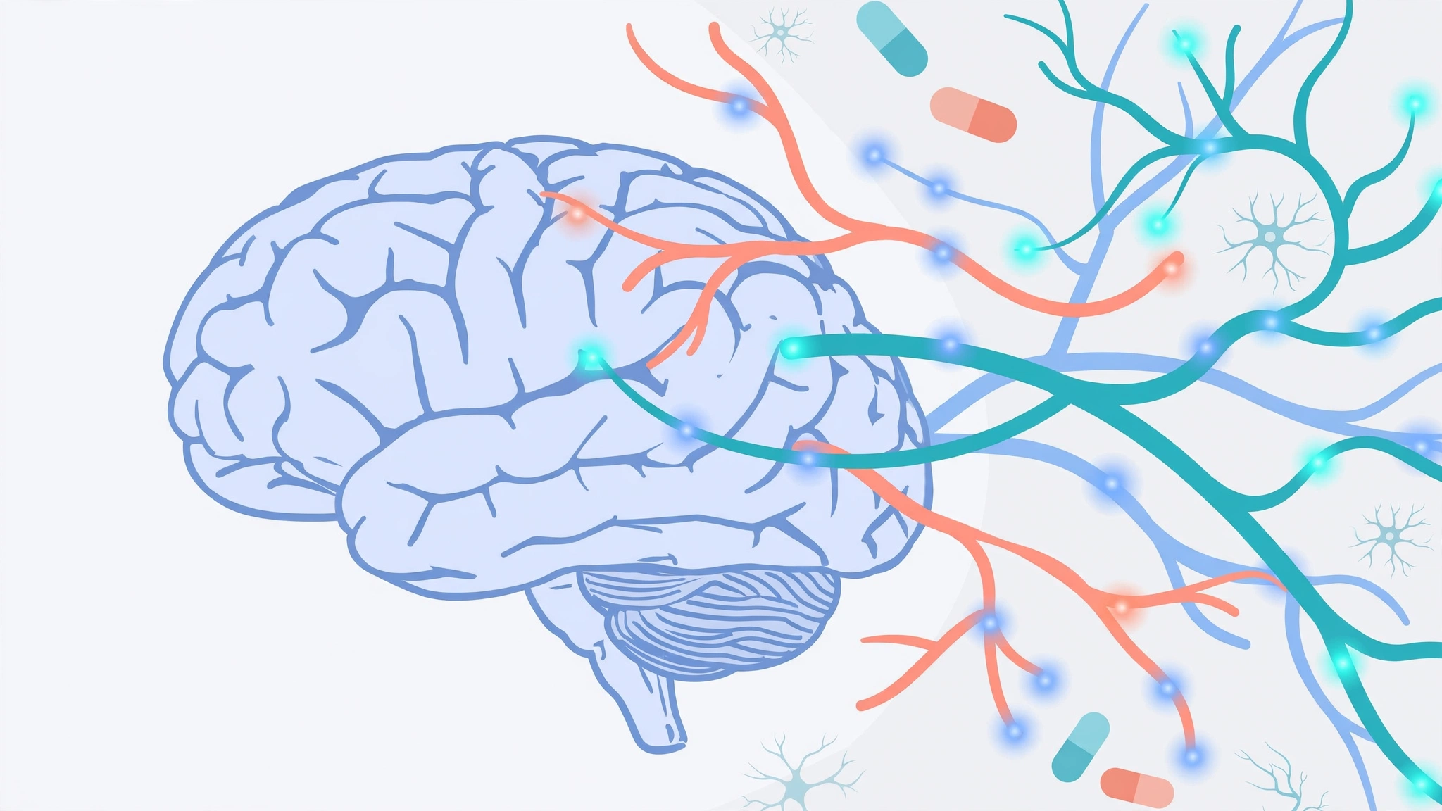 Vector diagram showing how antidepressants and sex drive are connected through brain chemistry
