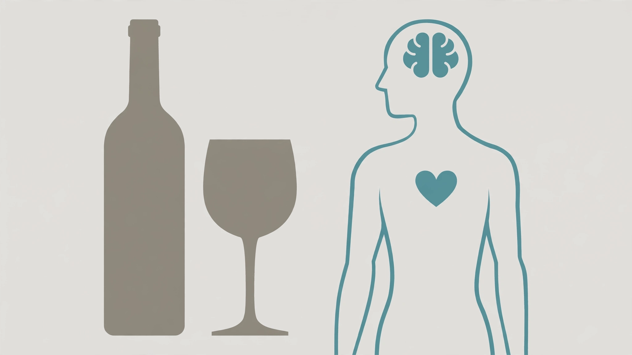 Medical illustration showing how alcohol and sexual performance are connected through brain, blood flow, and hormones.