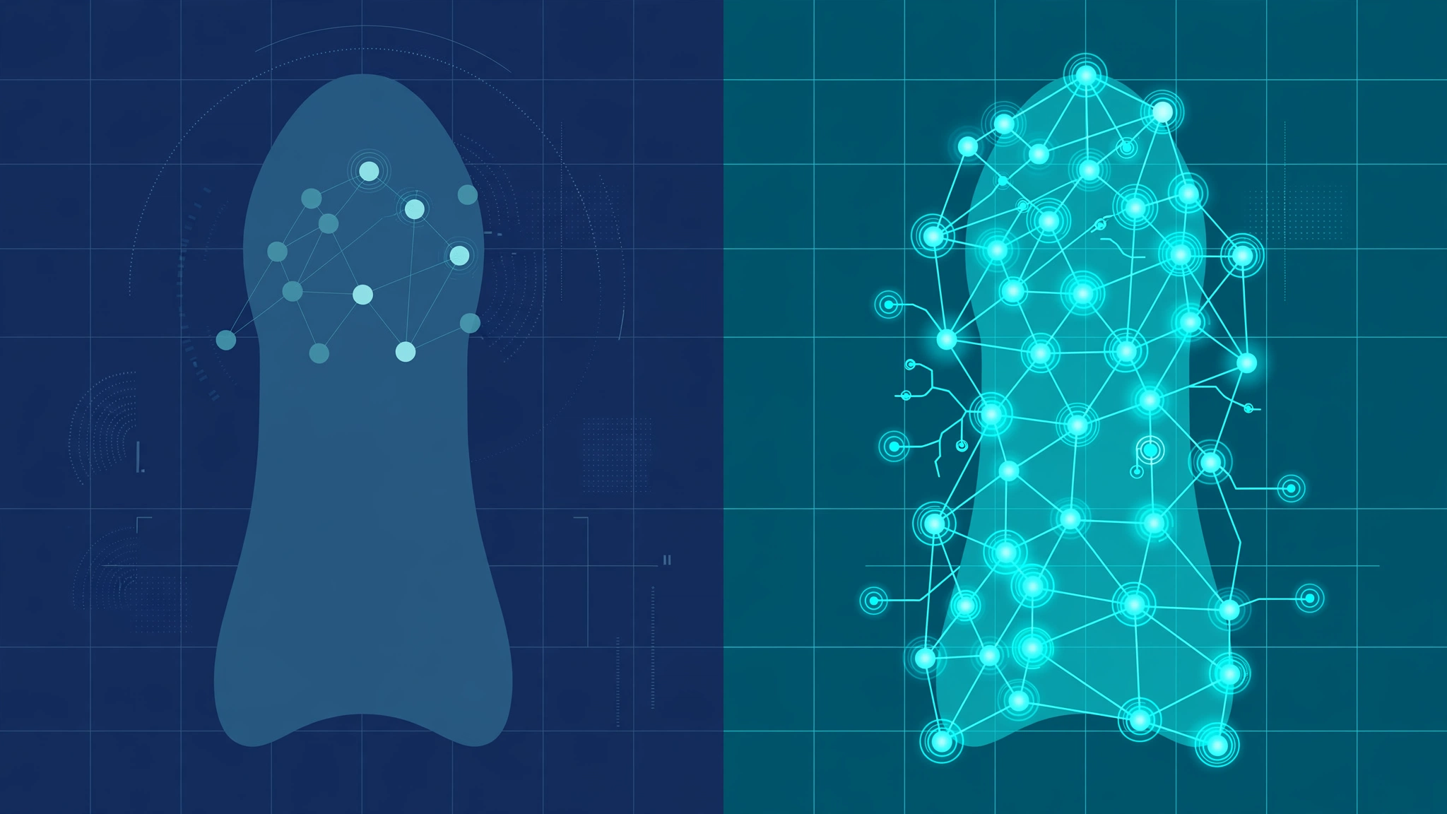 Nerve sensitivity mapping related to circumcision and sexual sensation