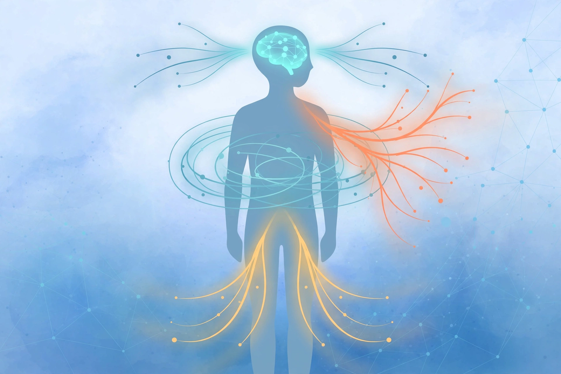 Clinical illustration of the human nervous system stress response, showing how sexual trauma affects the body during intimacy