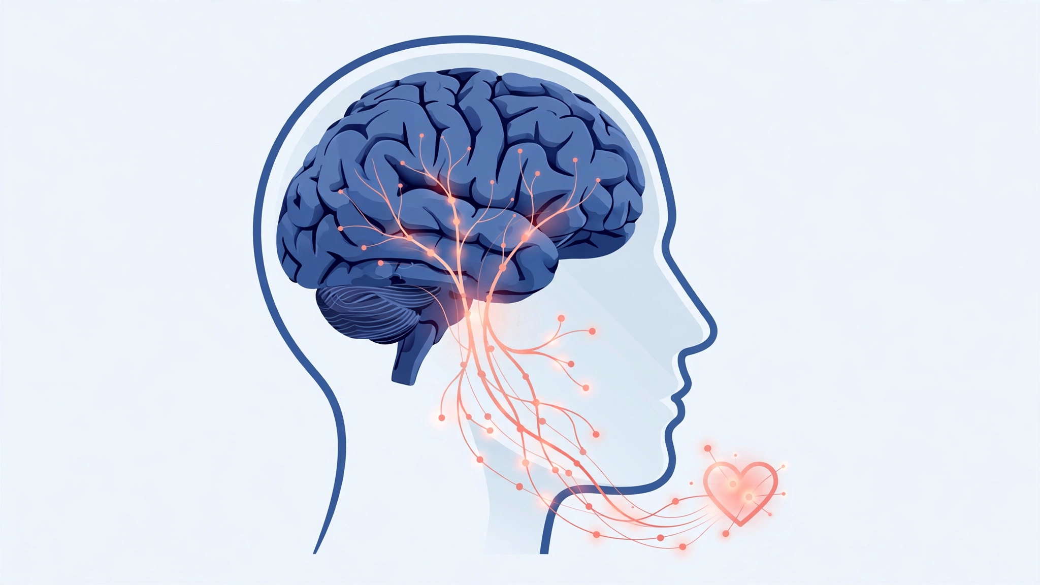 Brain chemistry changes behind depression low sex drive causes