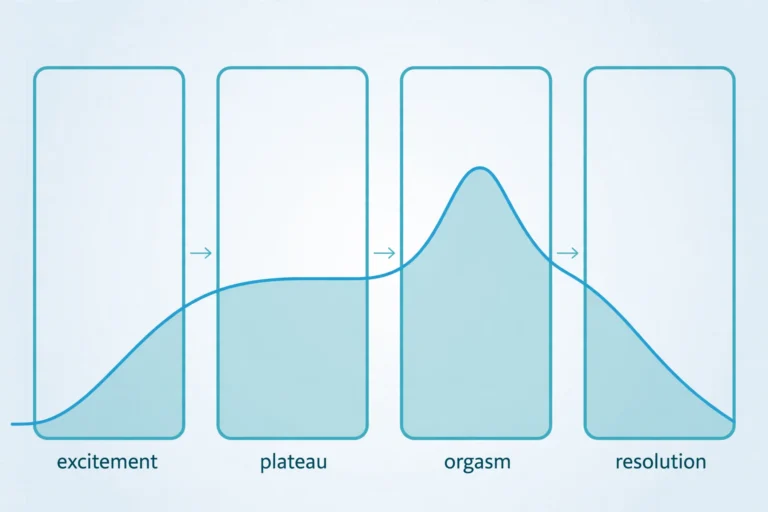 Educational medical diagram of the four stages of the sexual arousal cycle — excitement, plateau, orgasm, and resolution — illustrating the edging technique explained