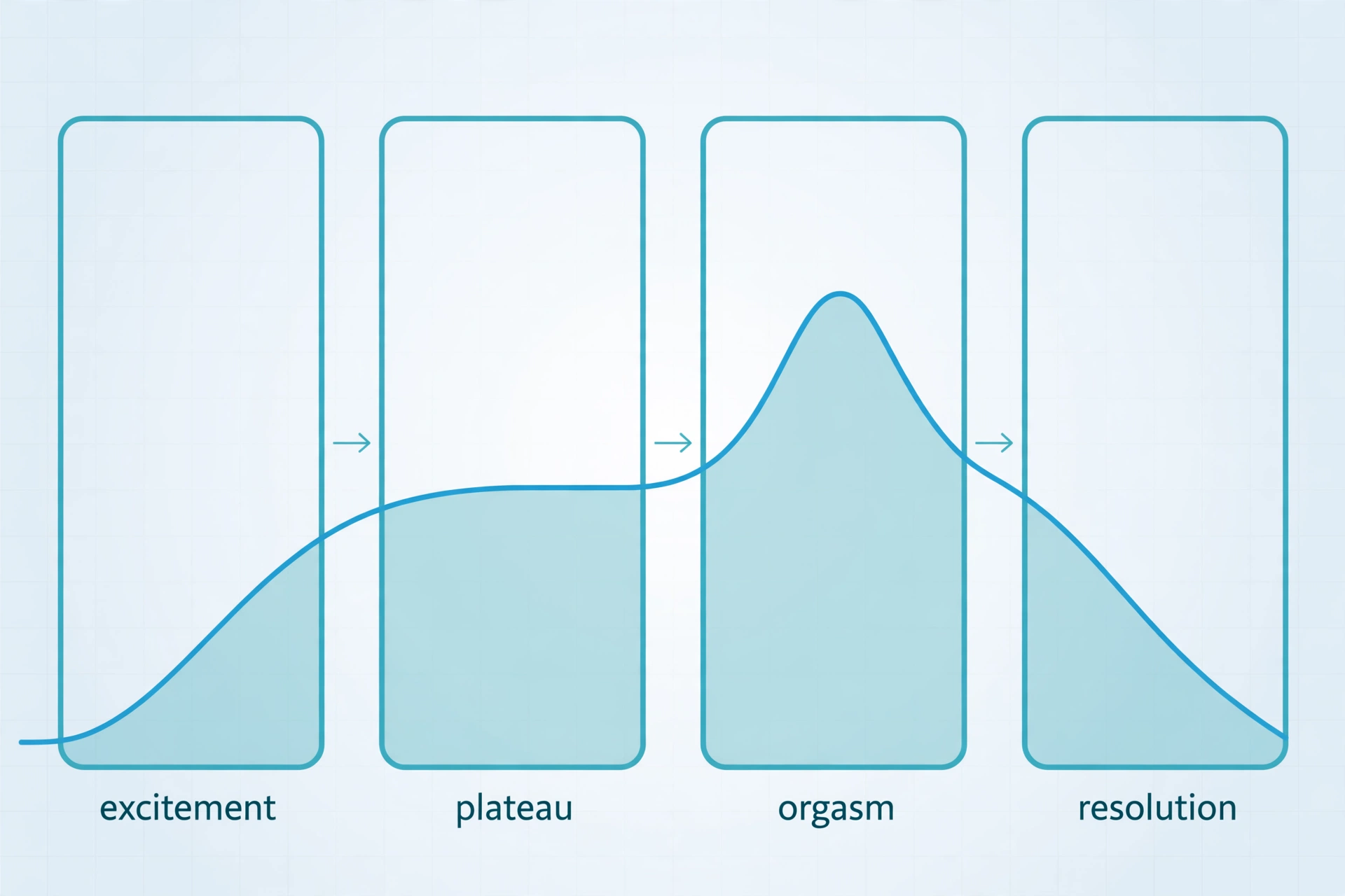 Educational medical diagram of the four stages of the sexual arousal cycle — excitement, plateau, orgasm, and resolution — illustrating the edging technique explained