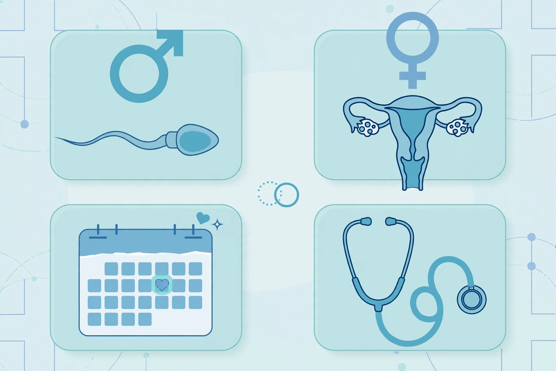 family planning - Clinical illustration showing male and female reproductive health symbols, a planning calendar, and a stethoscope for preconception health planning