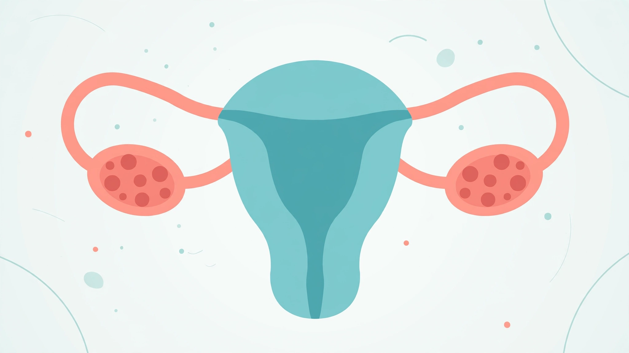 Diagram of the female reproductive system showing infertility causes couples may encounter in women