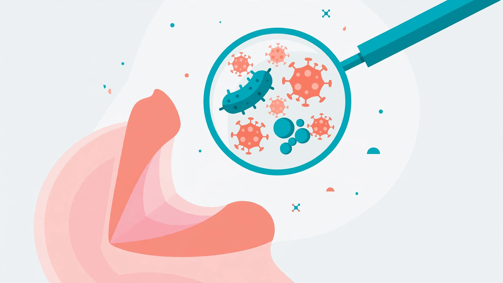 Is oral sex safe? Flat medical illustration of a mouth and throat with a magnifying glass showing STI bacteria