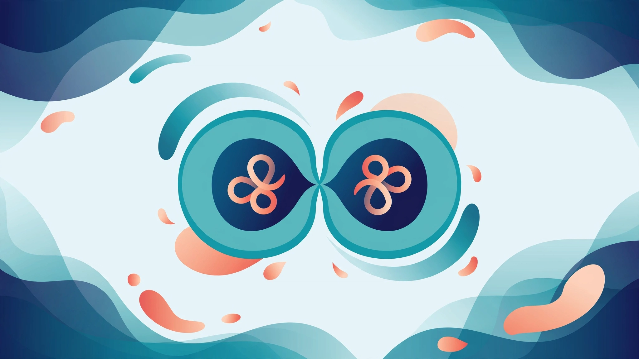 Scientific diagram of sperm production and the meiosis target studied in male birth control research