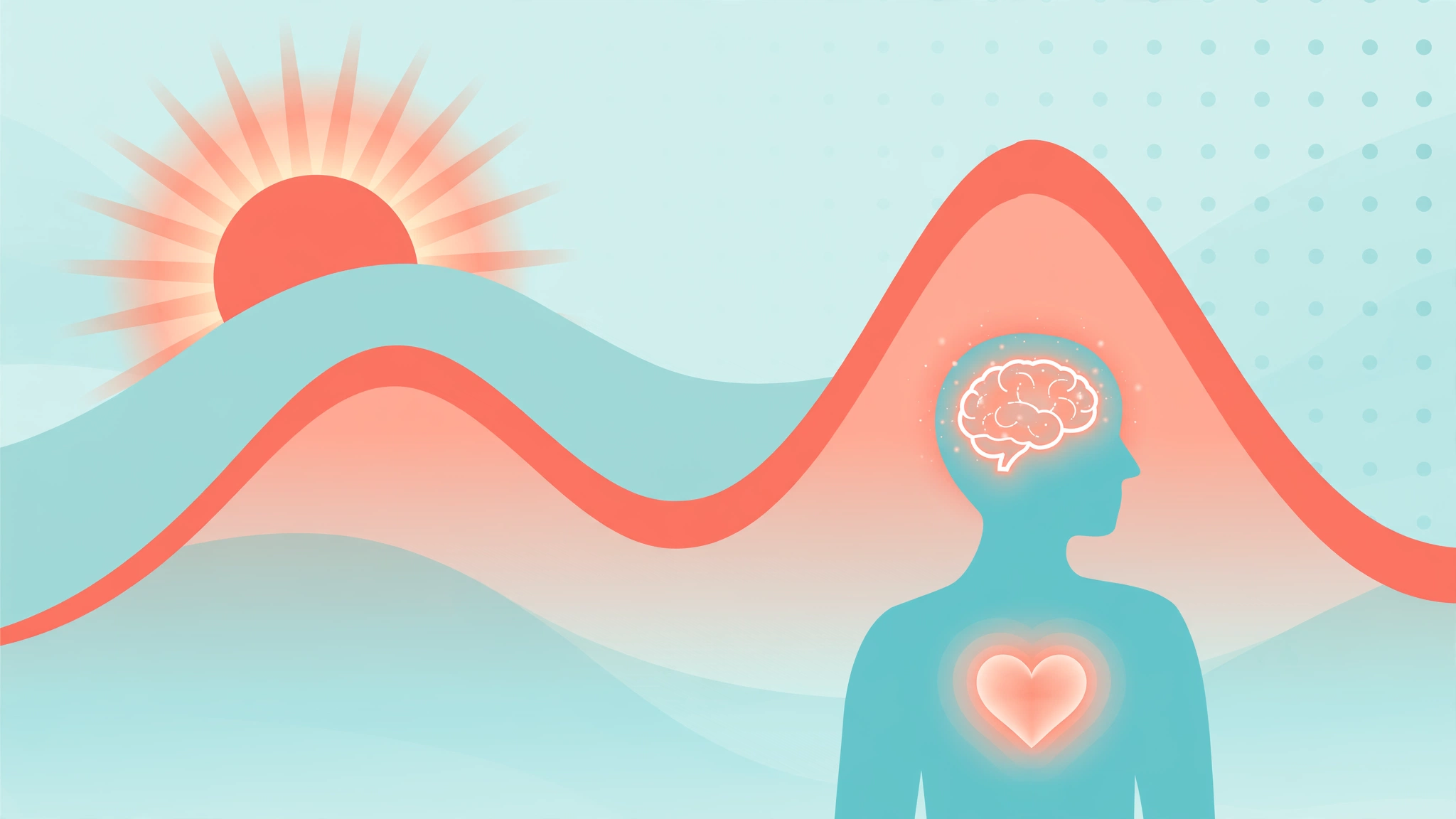Flat vector visualization of morning hormone rhythm with rising testosterone and estrogen levels after waking