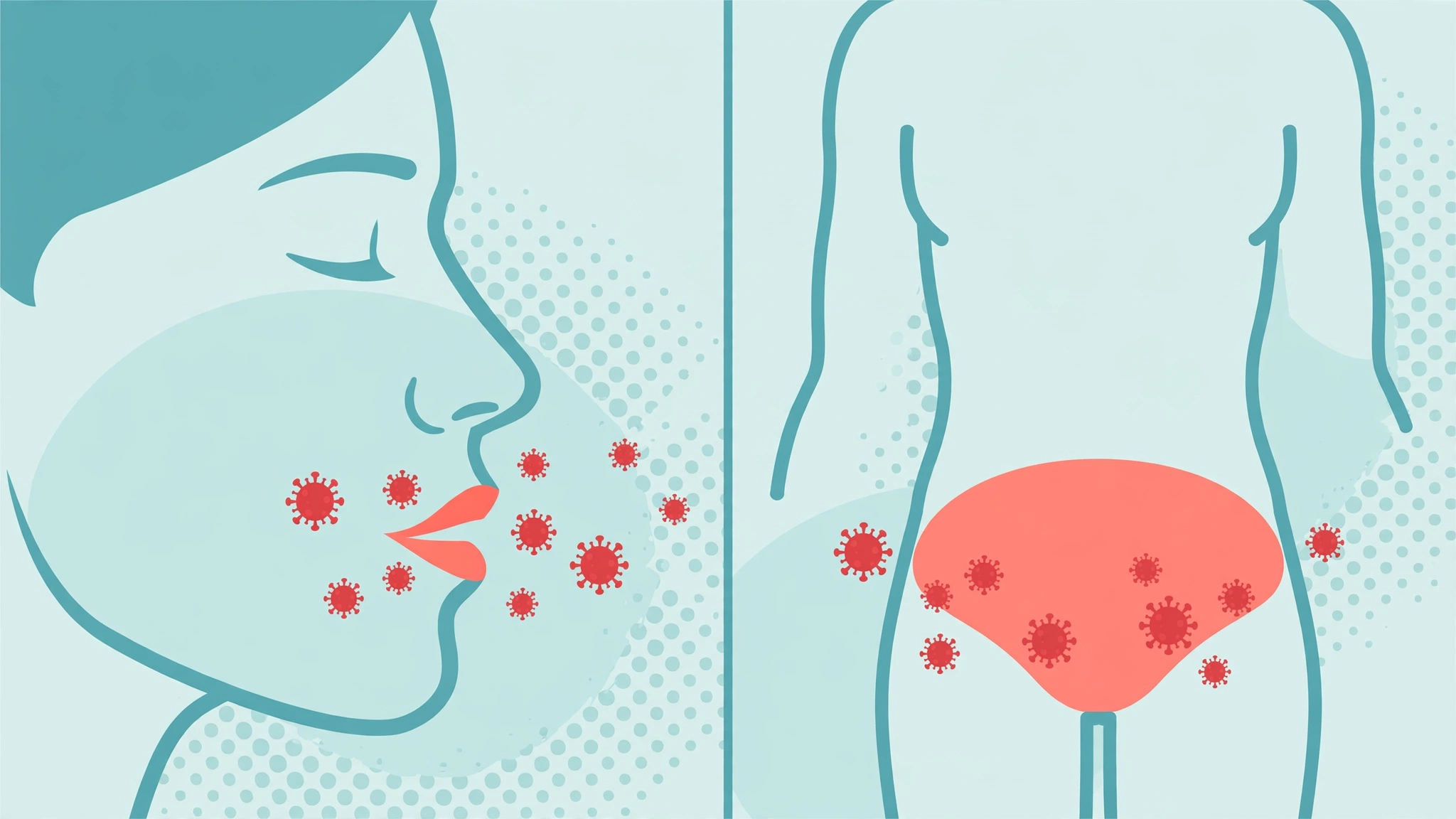 Flat vector illustration comparing oral vs genital herpes differences and HSV-1 vs HSV-2 virus types