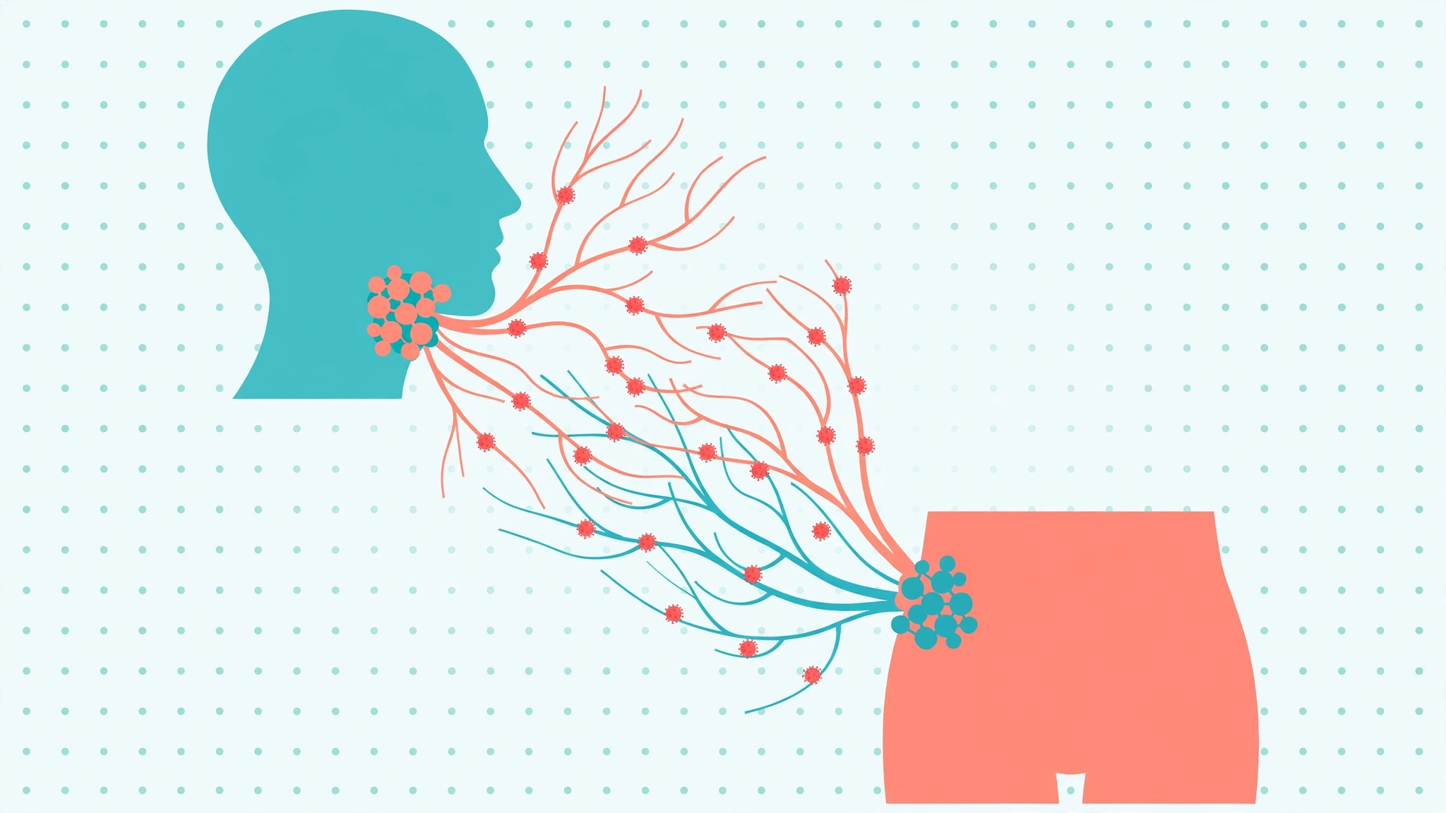 Medical illustration of nerve latency showing how HSV-1 and HSV-2 retreat into different nerve clusters