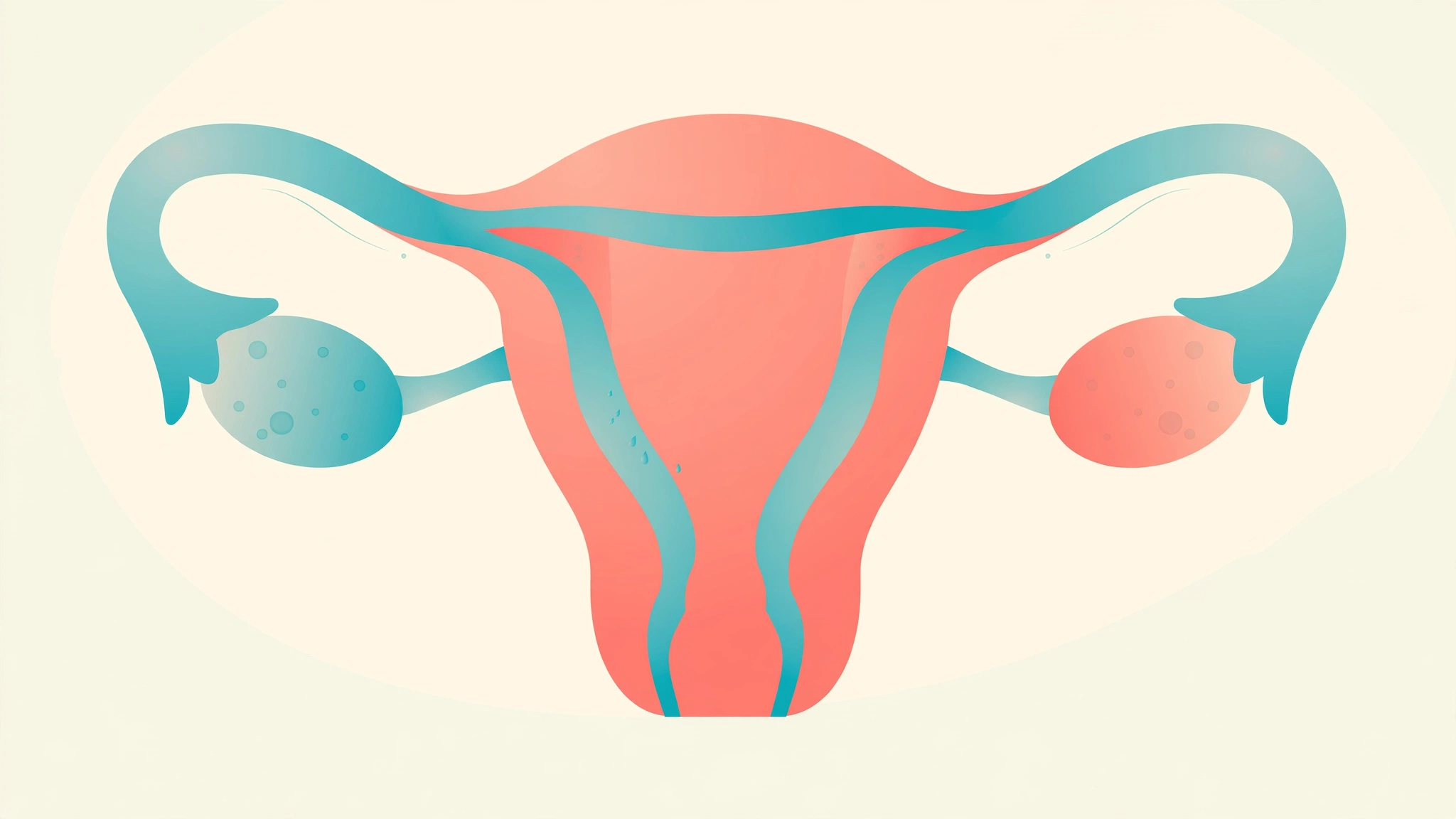 Medical illustration explaining spotting between periods causes and cycle patterns