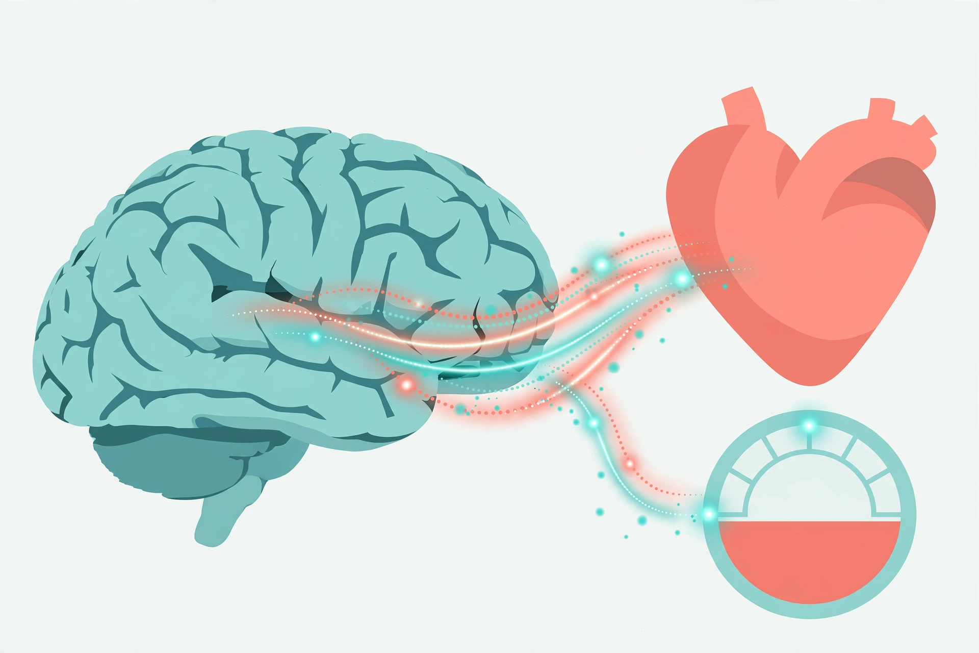 Flat vector illustration of the brain-heart energy connection behind fatigue and libido