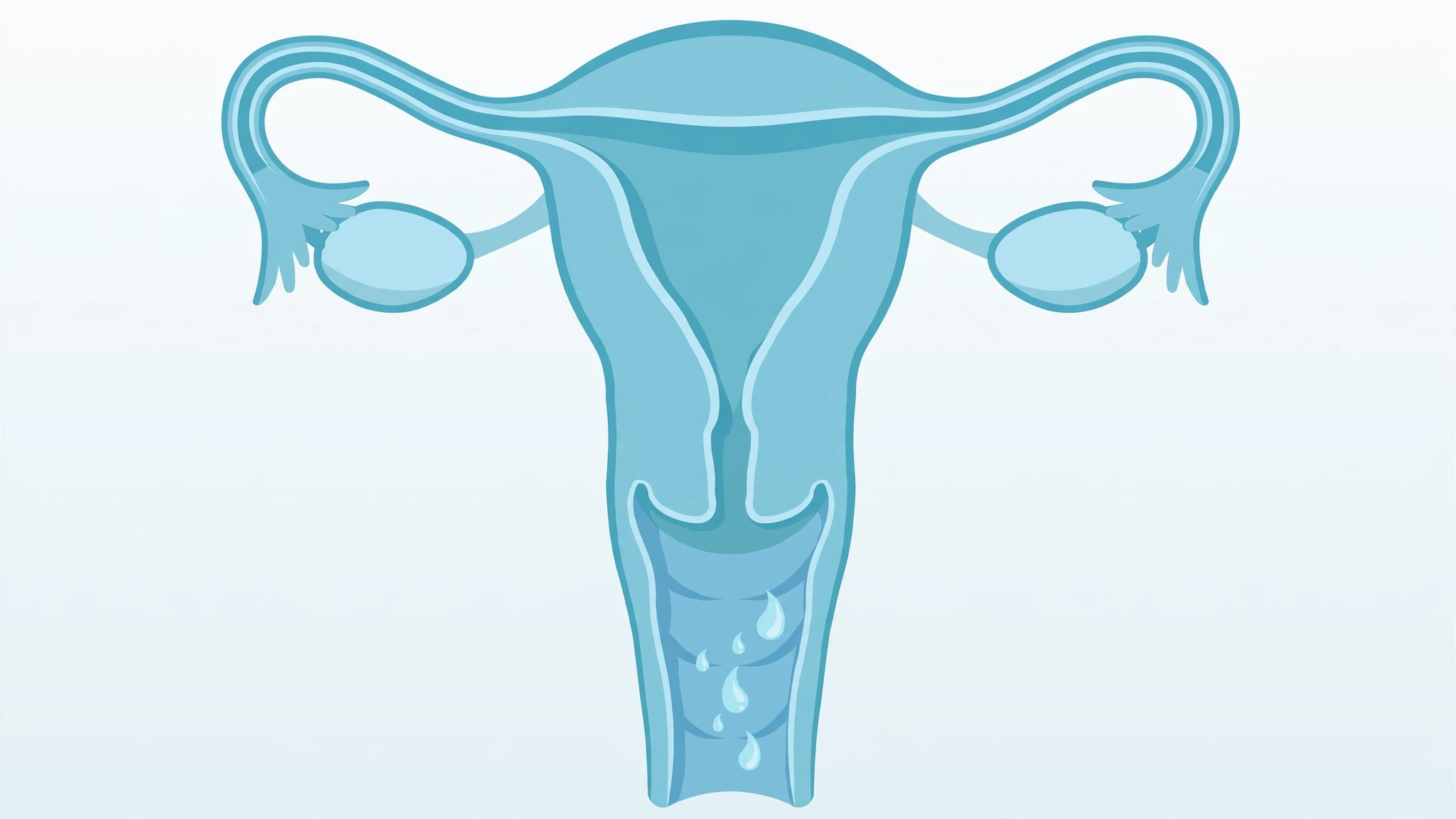 Vaginal discharge normal vs abnormal — clinical illustration of the female reproductive system